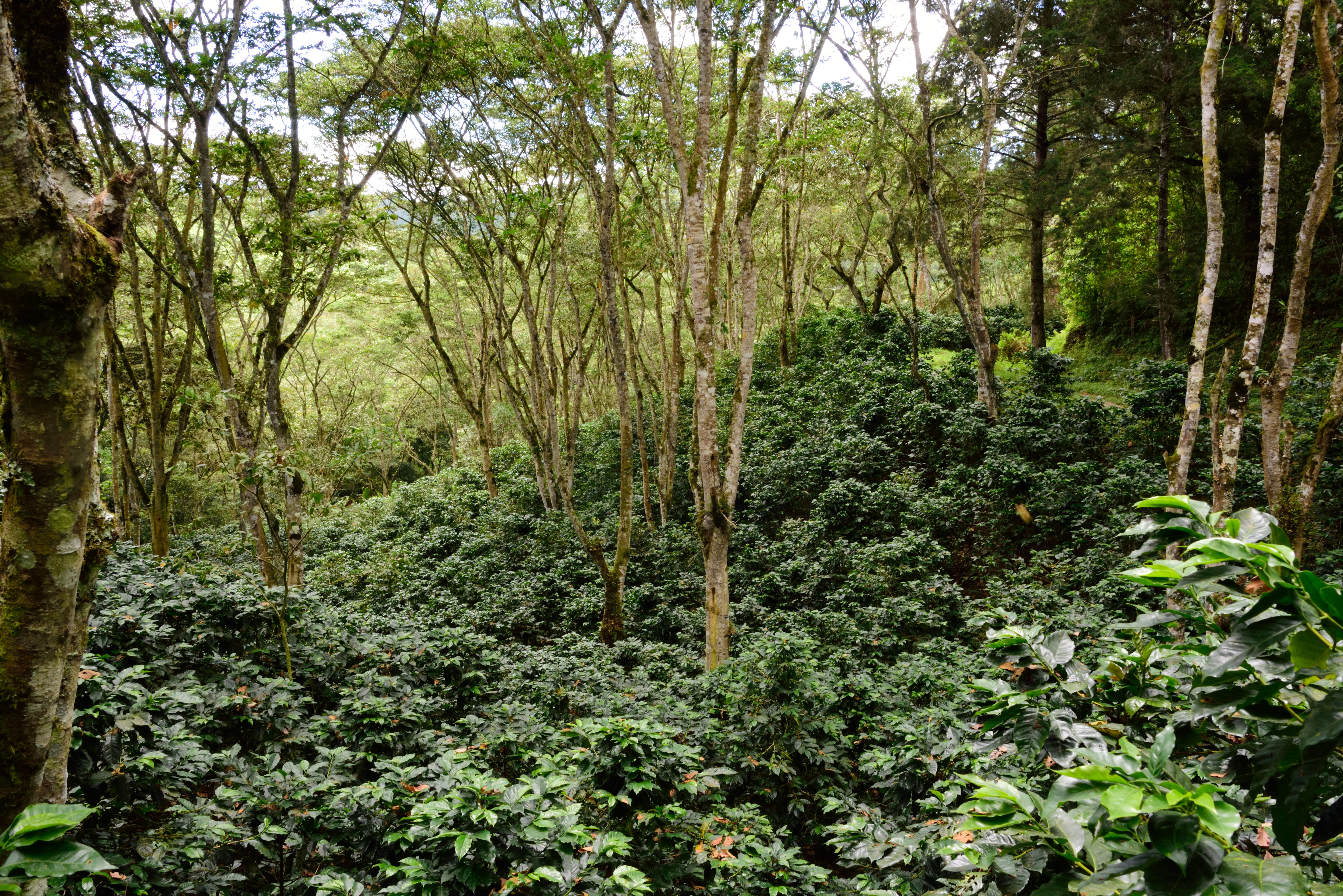 AdobeStock_211061571.jpeg