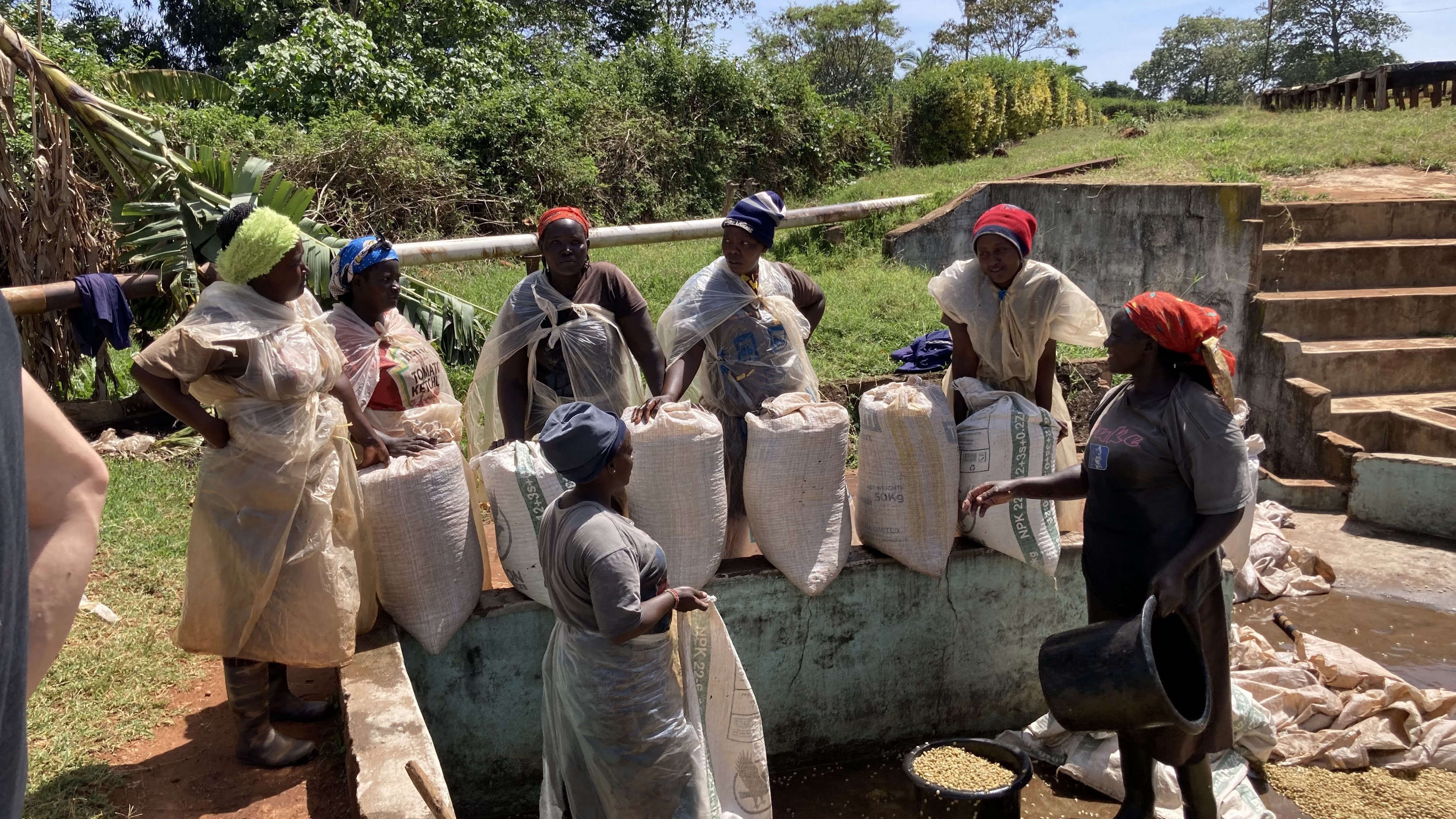 kvindelige landmand i Kenya