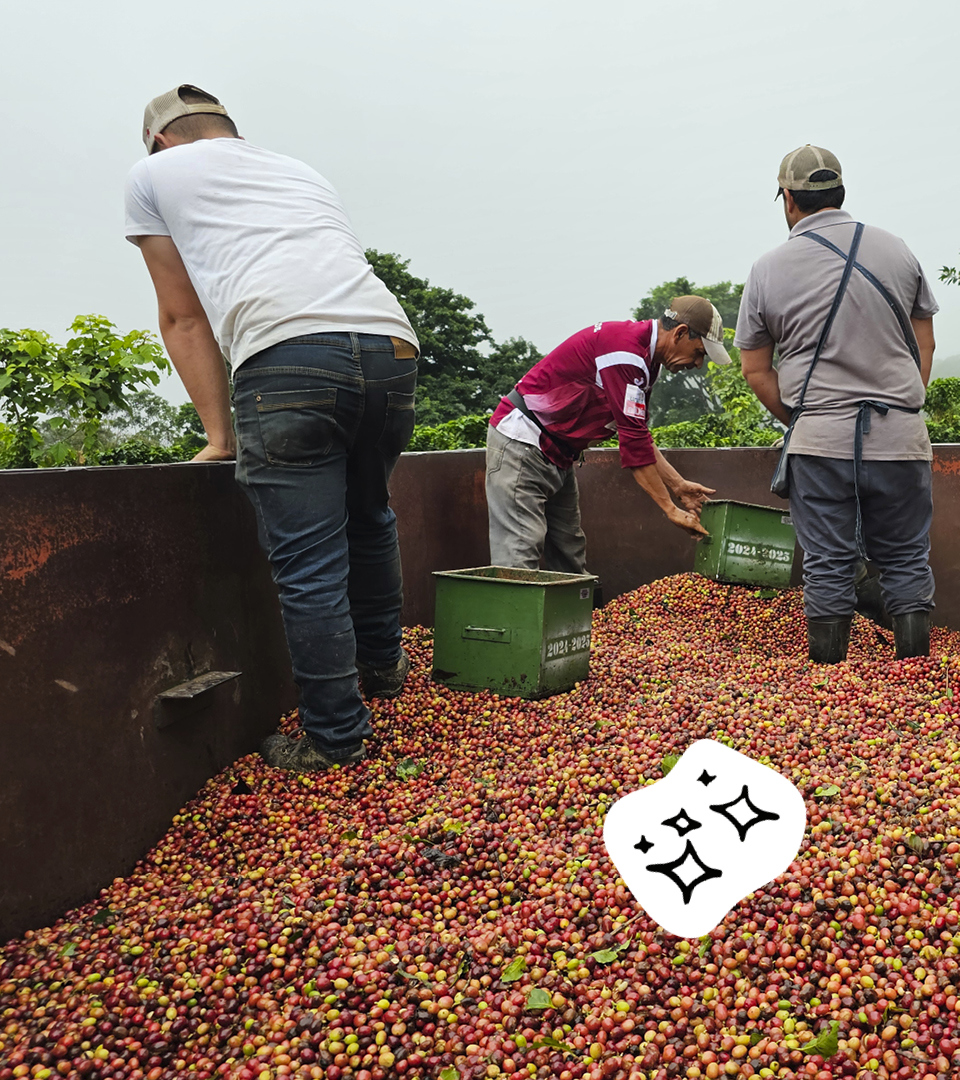 Aquiares Medarbejder (1)