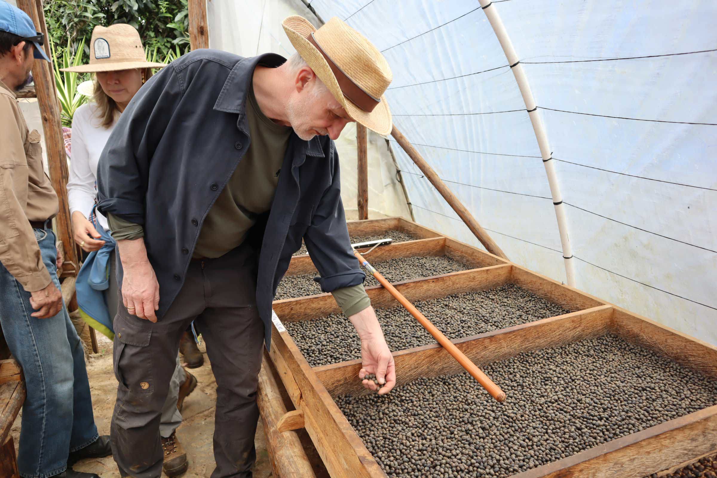 Kaffebønner tørres på tørreborde på en kaffefarm i Guatemala.