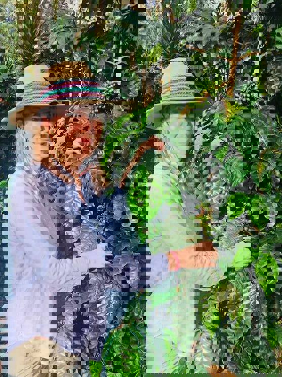 Maria i Guatemala kaffemark