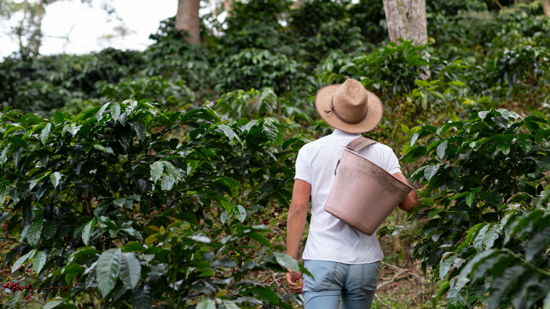 Tilføj En Overskrift