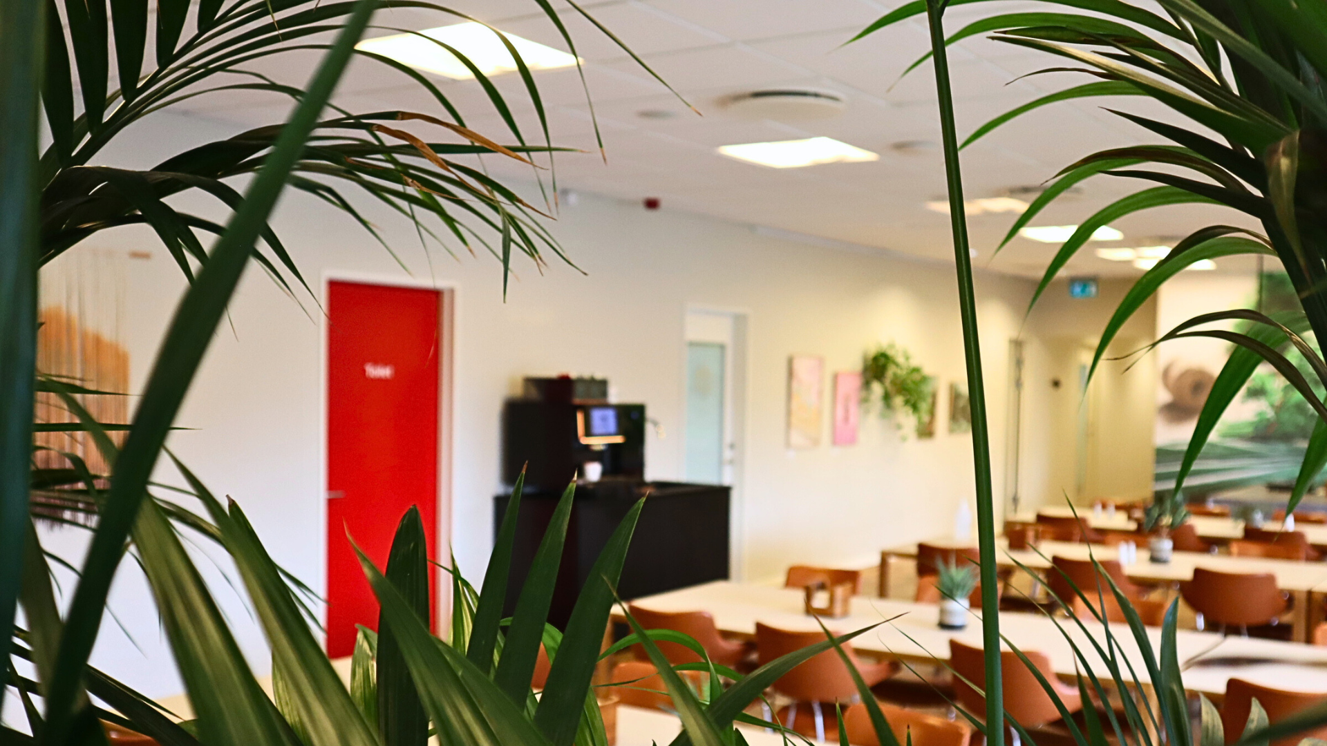 Tal Med Mennesker (11)