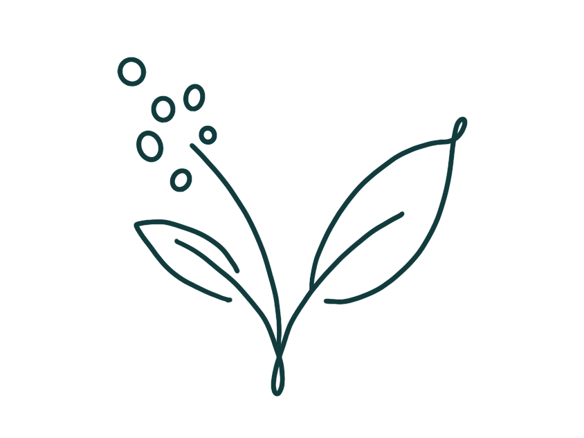 Smag  kaffeblomst ikon