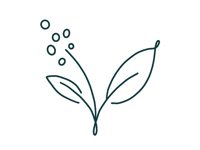 Smag  kaffeblomst ikon