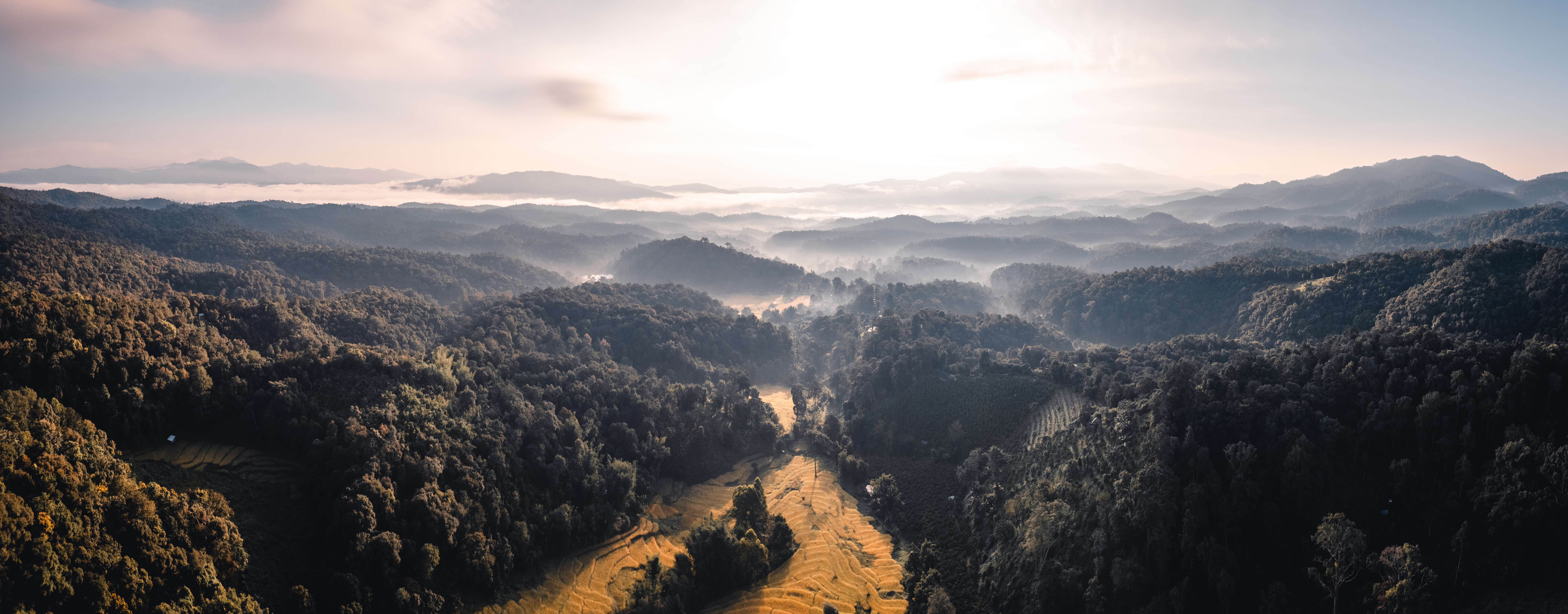 Aerial View Of Golden Rice Terrace Field In Mornin 2022 01 31 06 01 16 Utc