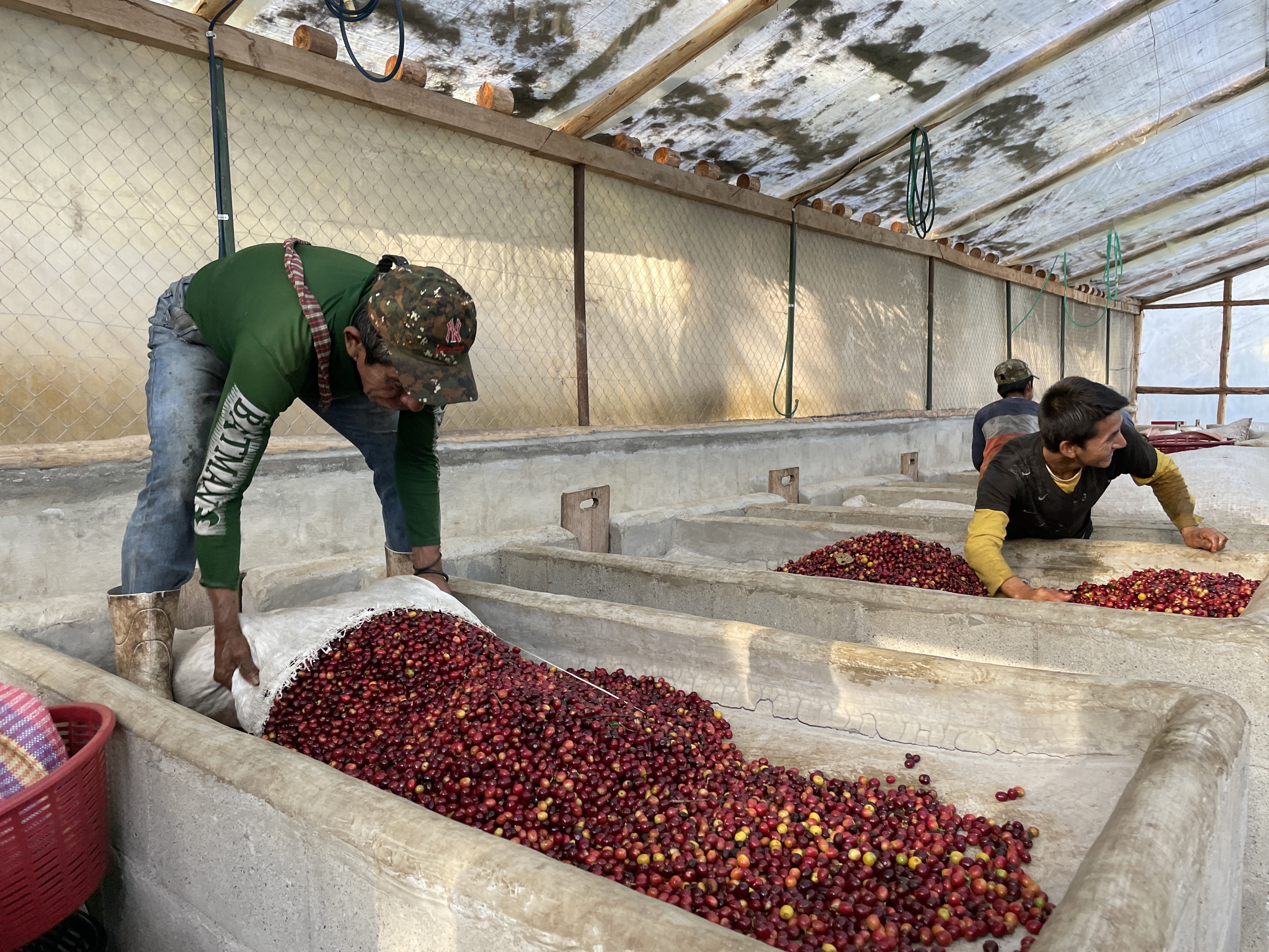 farmer på arbejde med en stor kaffepose 